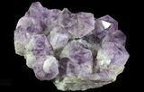 Amethyst Cluster ( lbs) - Massive Points #64760-3